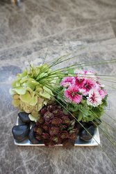 415 Coffee Table Arrangement